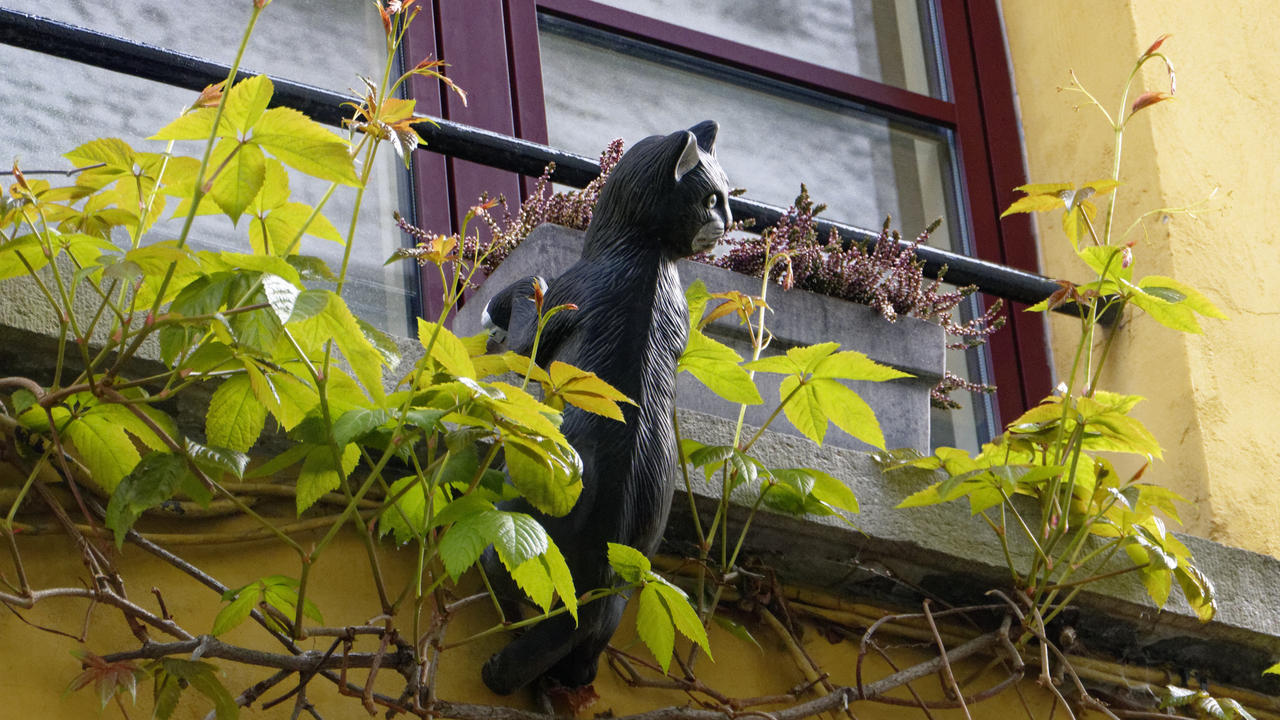 20140420 095220•Antwerpen•Flanders•Belgium